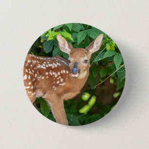 Portrait eines Neugeborenen (Weißschwanzhirsche) Button