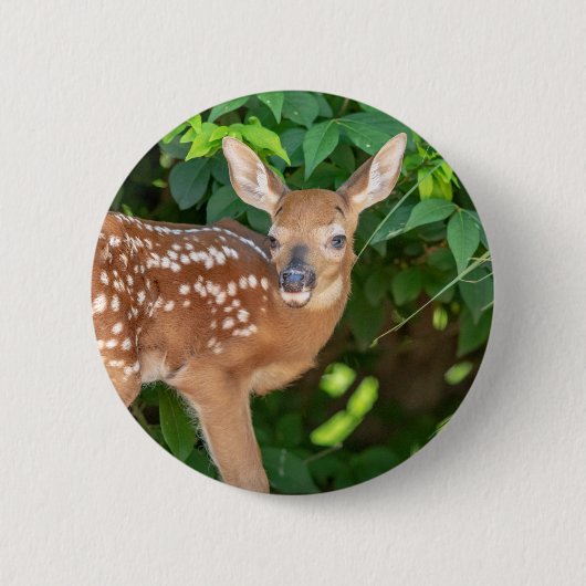 Portrait eines Neugeborenen (Weißschwanzhirsche) Button (Vorderseite)