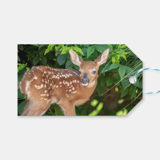 Portrait eines Neugeborenen (Weißschwanzhirsche) Geschenkanhänger (Vorderseite (Horizontal))