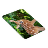 Portrait eines Neugeborenen (Weißschwanzhirsche) Magnet (Rechte Seite)