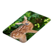 Portrait eines Neugeborenen (Weißschwanzhirsche) Magnet (Linke Seite)