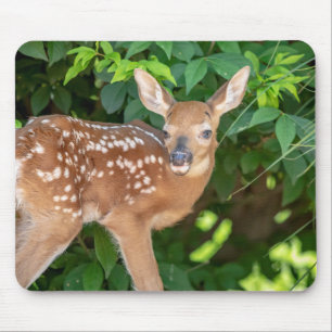 Portrait eines Neugeborenen (Weißschwanzhirsche) Mousepad