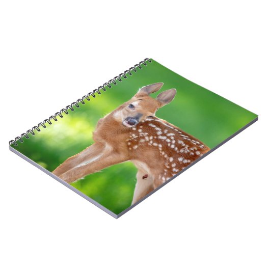 Portrait eines Neugeborenen (Weißschwanzhirsche) Notizblock (Linke Seite)