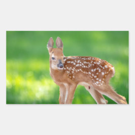 Portrait eines Neugeborenen (Weißschwanzhirsche) Rechteckiger Aufkleber