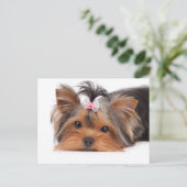 Portrait eines niedlichen Welpen Postkarte (Stehend Vorderseite)