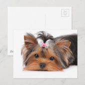 Portrait eines niedlichen Welpen Postkarte (Vorne/Hinten)