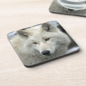 Portrait eines Polarkolfwolfs Getränkeuntersetzer (Linke Seite)