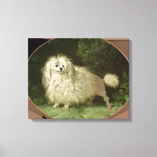 Portrait eines Poodles Leinwanddruck (Vorderseite)
