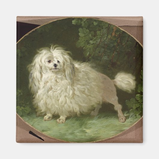Portrait eines Poodles Magnet (Vorne)