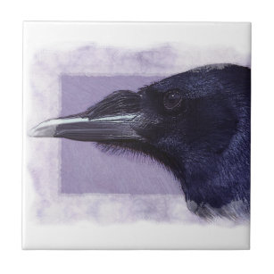Portrait eines Raven Corvid Liebhaber des Kunstdes Fliese