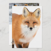 Portrait eines Rotfuchs Feiertagskarte (Vorne/Hinten)