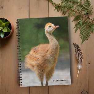 Portrait eines Sandhügels Crane Colt Notizblock