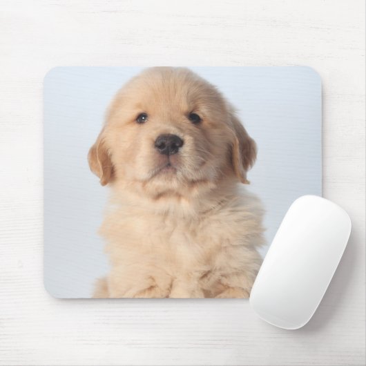 Portrait eines sechs Wochen alten goldenen Retriev Mousepad (Mit Mouse)