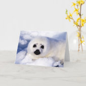Portrait eines Siegels der Harfe Karte (Gelbe Blume)