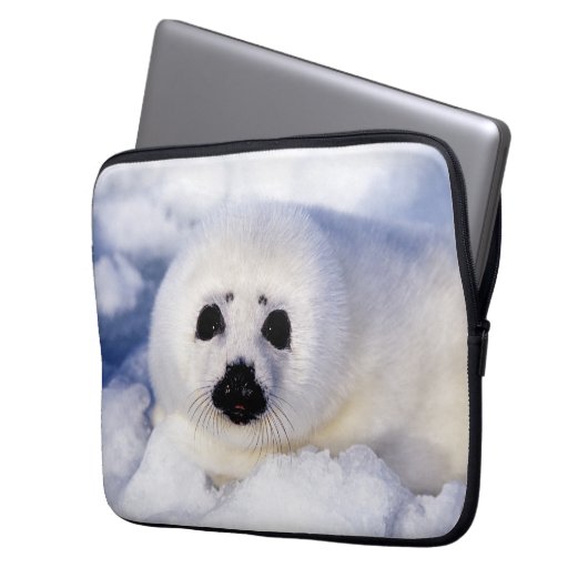 Portrait eines Siegels der Harfe Laptopschutzhülle (Vorderseite Links)