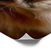 Portrait eines Spanierhundes Poster (Ecke)