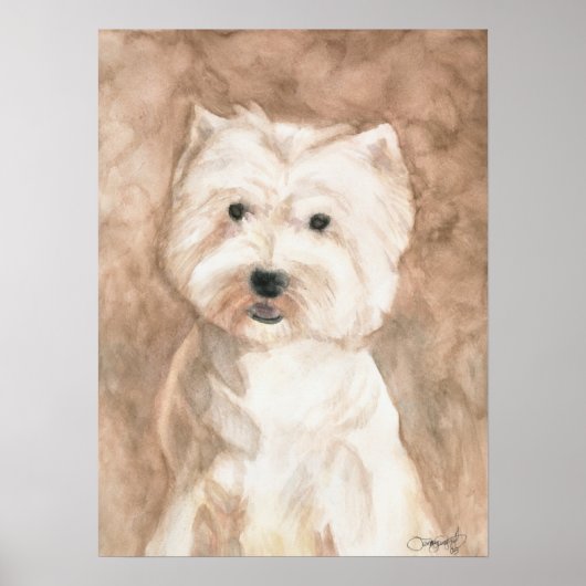 Portrait eines Westie Poster (Vorne)