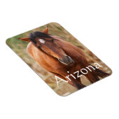 Portrait eines wilden Mustang, Arizona Magnet (Rechte Seite)