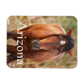 Portrait eines wilden Mustang, Arizona Magnet (Horizontal)