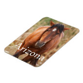 Portrait eines wilden Mustang, Arizona Magnet (Linke Seite)