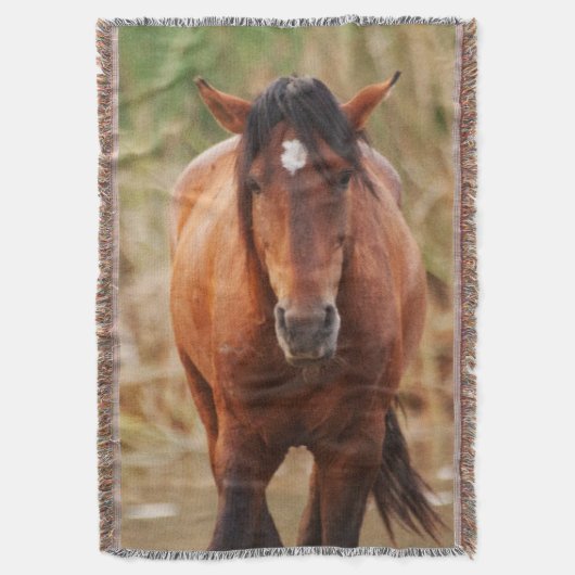 Portrait eines wilden Mustang Decke (Vorderseite Vertikal)