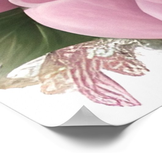 Portrait eines wunderschönen, skurrilen, rosa Drac Poster (Ecke)