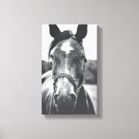 Portrait Foto Canvas - Schwarz-Weiß-Pferd