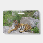 Portrait-Foto eines sibirischen Tigers Ausweis (Rückseite)