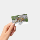 Portrait-Foto eines sibirischen Tigers Ausweis (Handheld)