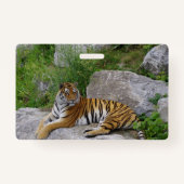 Portrait-Foto eines sibirischen Tigers Ausweis (Rückseite)