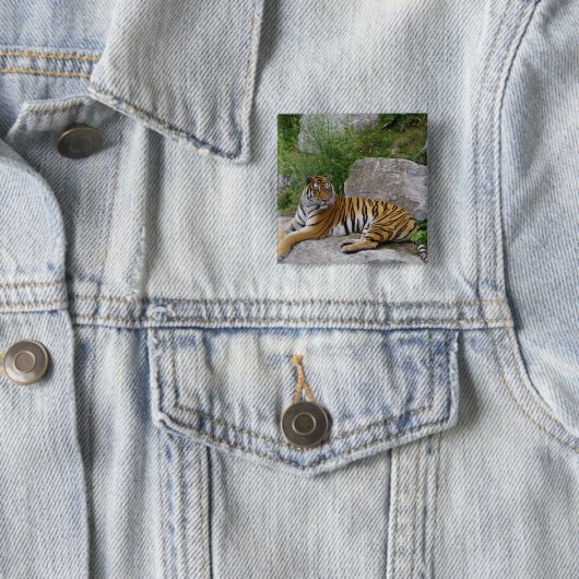 Portrait-Foto eines sibirischen Tigers Button (Beispiel)