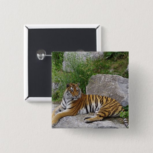 Portrait-Foto eines sibirischen Tigers Button (Vorne & Hinten)