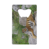 Portrait-Foto eines sibirischen Tigers Geldbeutel Flaschenöffner (Rückseite)