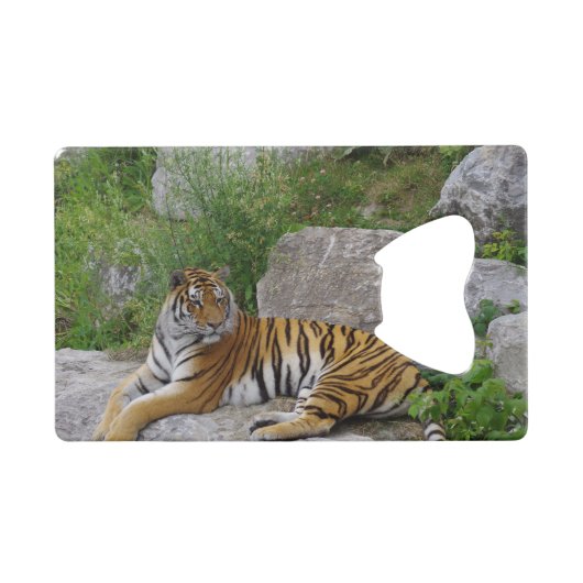 Portrait-Foto eines sibirischen Tigers Geldbeutel Flaschenöffner (Vorderseite (Horizontal))