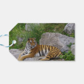 Portrait-Foto eines sibirischen Tigers Geschenkanhänger (Rückseite Horizontal)