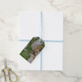 Portrait-Foto eines sibirischen Tigers Geschenkanhänger (Mit Garn)