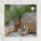 Portrait-Foto eines sibirischen Tigers Geschenkanhänger (Rückseite)