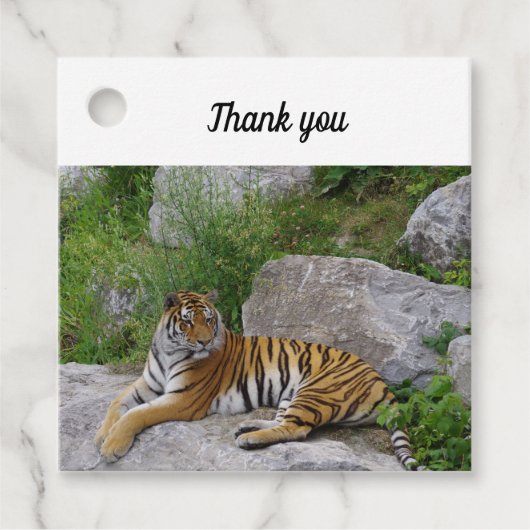 Portrait-Foto eines sibirischen Tigers Geschenkanhänger (Vorderseite)