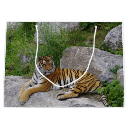 Portrait-Foto eines sibirischen Tigers Große Geschenktüte