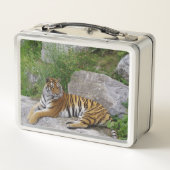 Portrait-Foto eines sibirischen Tigers Metall Brotdose (Rückseite)