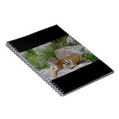 Portrait-Foto eines sibirischen Tigers Notizblock (Rechte Seite)