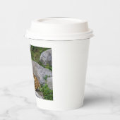 Portrait-Foto eines sibirischen Tigers Pappbecher (Links)