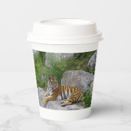 Portrait-Foto eines sibirischen Tigers Pappbecher