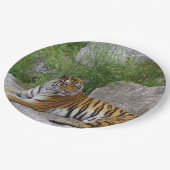 Portrait-Foto eines sibirischen Tigers Pappteller (Schrägansicht)