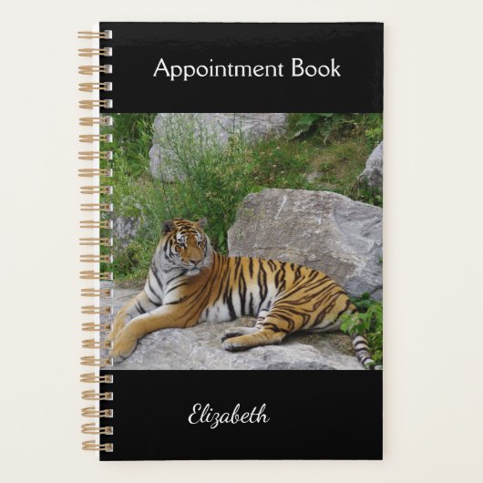 Portrait-Foto eines sibirischen Tigers Planer (Vorderseite)