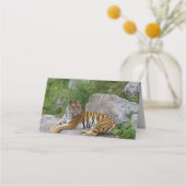 Portrait-Foto eines sibirischen Tigers Platzkarte (Rückseite)