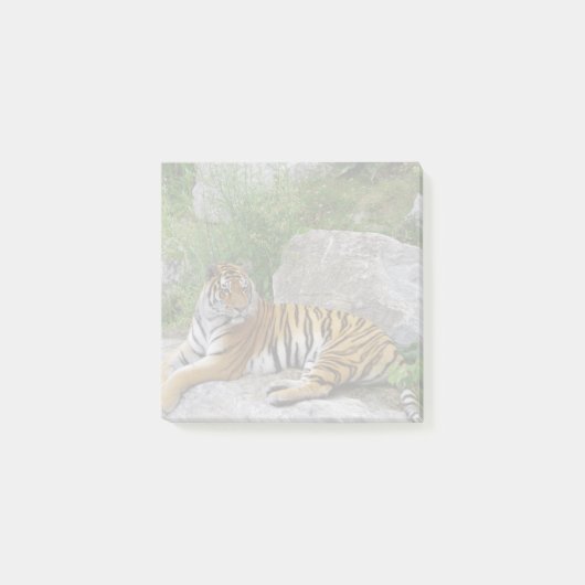 Portrait-Foto eines sibirischen Tigers Post-it Klebezettel (Vorderseite)