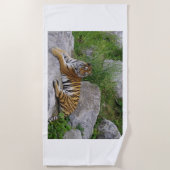 Portrait-Foto eines sibirischen Tigers Strandtuch (Vorderseite)