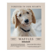 Portrait-Foto für Sandhunde und braune Hunde Poster (Vorderseite)