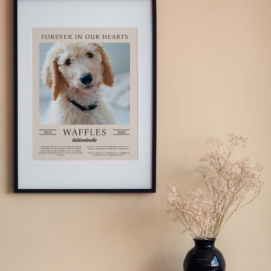 Portrait-Foto für Sandhunde und braune Hunde Poster